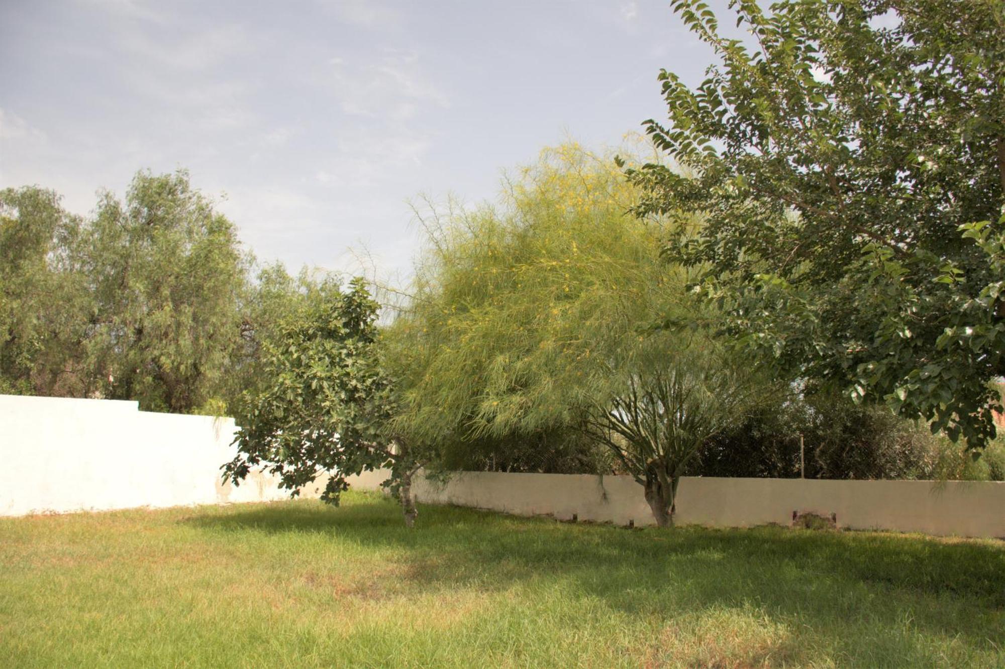 Kiwidestiny Alicante 圣胡安·德·阿利坎特 外观 照片